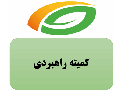اقدامات کمیته راهبردی